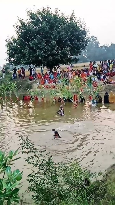holi git bhojpuri