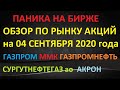 Паника на бирже. Обзор по рынку акций на 04.09.2020 Акрон Газпром Газпромнефть Сургутнефтегазао ММК