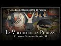 La Pureza | 3 | Los pecados contra la Pureza | P. Javier Olivera Ravasi, SE