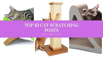✔️ TOP 10 BEST CAT SCRATCHING POSTS 🛒 Amazon 2019