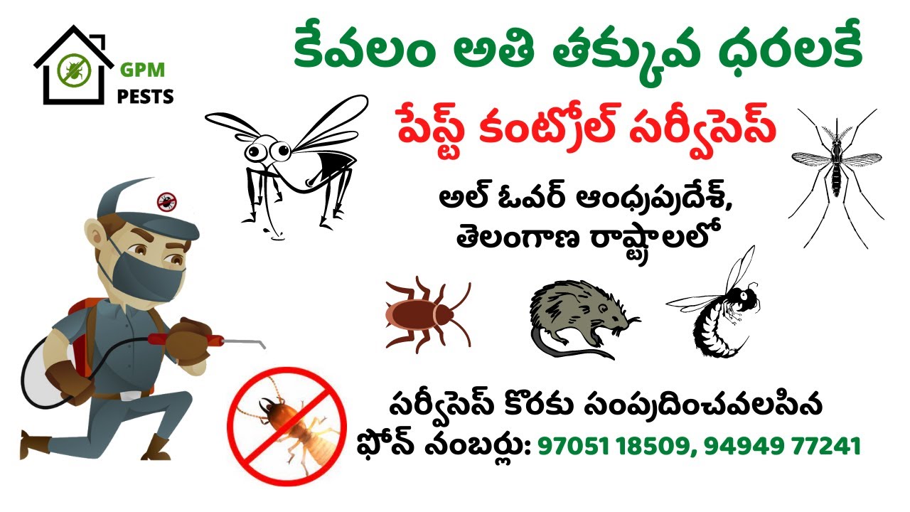 GPM Pest Control Introduction Best Services What We Providing LowCost Pest Control Services