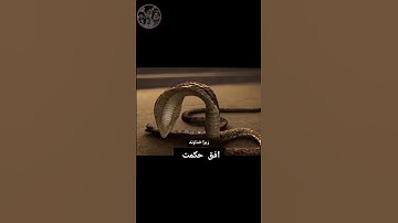 سوره یونس آیه ۷۹-۸۱