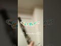 【おとせサンダー/ぼっちぼろまる】オーボエ・ピアノで耳コピ多重録音
