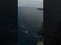 Crazy cliff dive from 18 meters cliffdiving extremesports sendit