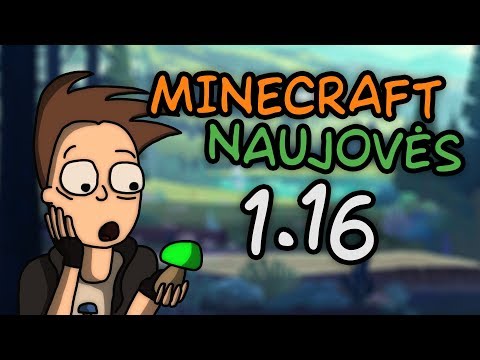 Video: „Minecraft“gauna 40 Naujų Personažų, Kaip DLC