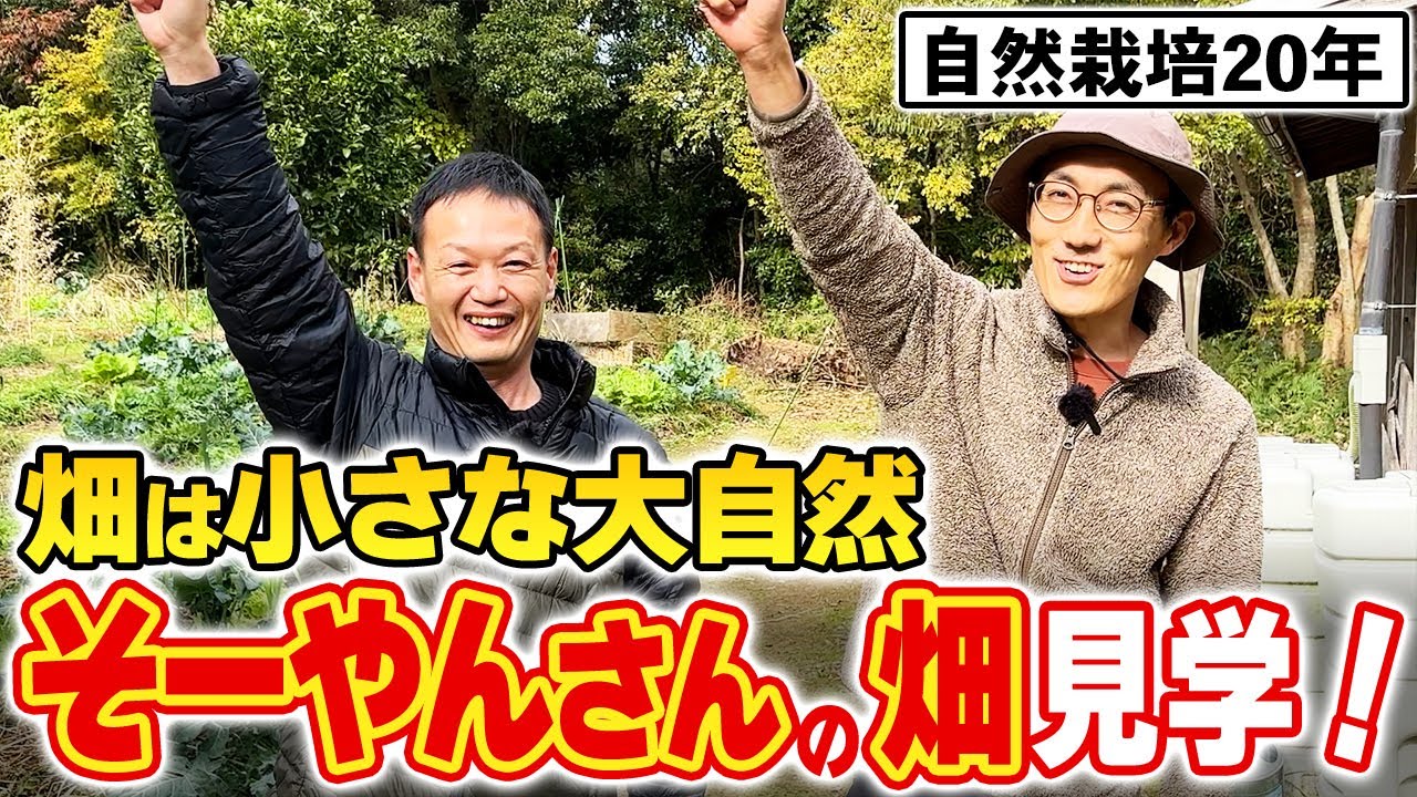 【自然栽培326】そーやんさんから学ぼう！自然農10年以上の畑！素晴らしいですよ(o^―^o)ﾆｺ