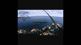 APIA GRANDAGE ATLAS BLUERUNNER 100h Hearty rise sitenkiba 80gr #mancing #shorejigging #ψάρεμα