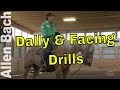 Dally and Facing Drills - Allen Bach Team Roping Tips