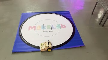 Robotics Field Lab ||  SumoBots || staying in the ring