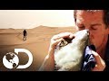 Técnicas para sobrevivir sin agua en el desierto | Escape del infierno con Bear Grylls