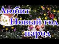 Шуточная новогодняя песня(Любит Новый год народ!)