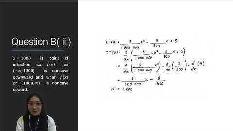 Introduction to Mathematical Economic- Assignment 5 / task 2 (275573)