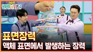 [별별실험실] 물(액체)의 특별한 힘, 표면장력 / YTN 사이언스