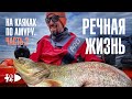 На каяках по Амуру. Часть 2. Испытание рекой.