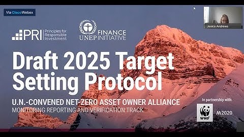 Net-Zero Asset Owner Alliance 2025 Target Setting Protocol Consultation