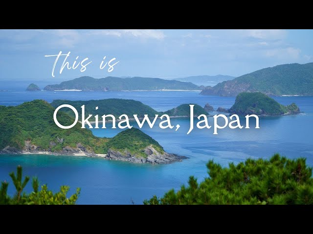 I’ve lived in Okinawa, Japan for over 3 years. This is why I love it here class=