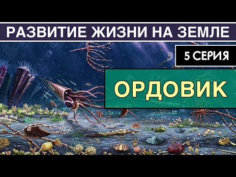 ОРДОВИКСКИЙ ПЕРИОД. Развитие жизни на Земле. 5 серия | Великая Радиация и Великое Вымирание