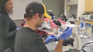 Day in the life of a biology professor at a PUI