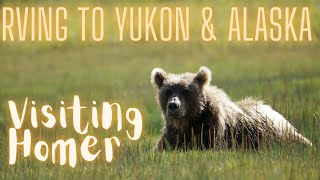 RVing to Alaska & Yukon Ep. 7  Visiting Homer  Including a Bear Viewing Flight