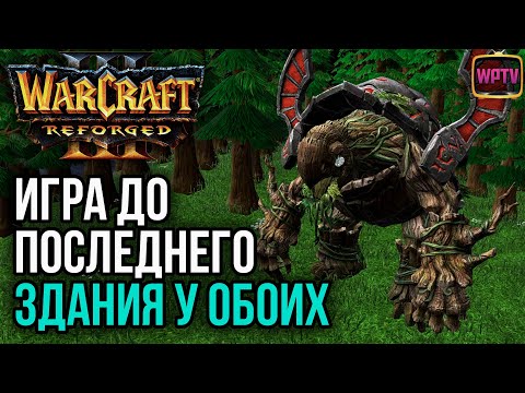 Видео: ИГРА ДО ПОСЛЕДНЕГО ЗДАНИЯ У ОБОИХ: Warcraft 3 Reforged