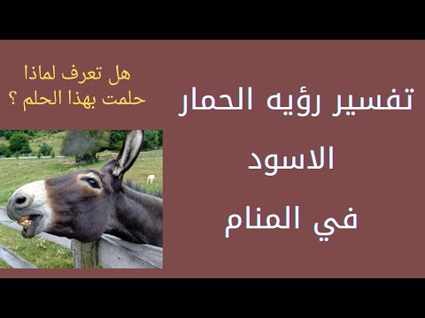 تفسير رؤيه الحمار الاسود في المنام لابن سيرين