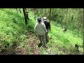 Tracking Mountain Gorillas in Uganda