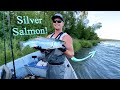 Kenai river alaska sockeye salmon fishing report silver salmon are showing up in soldotna alaska