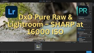 DxO Pure Raw & Lightroom – Editing photos for my gallery