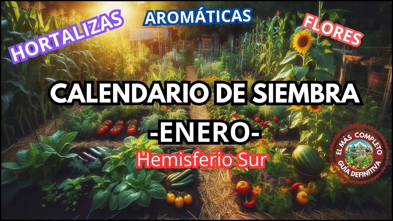 Qué sembrar en enero 🌞 Calendario de siembra – Hemisferio sur