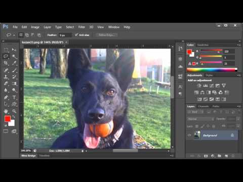 Adobe Photoshop - Zooming In and Zooming Out