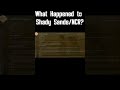 What Happened to Shady Sands? ⁉️ #gaming #fallout  #falloutlore