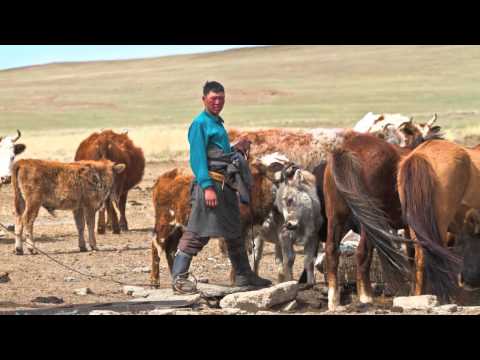 Video: L'orrore Del Deserto Mongolo - Olgoy-khorhoy - Visualizzazione Alternativa