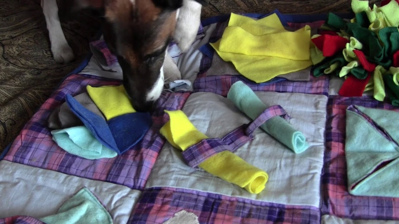 Нюхательный коврик для собак своими руками схема