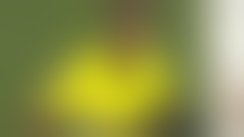 FC Augsburg   Borussia Dortmund 0-4 (Alle Tore & Highlights)