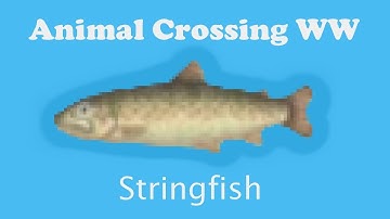 Animal Crossing WW : Catching a stringfish
