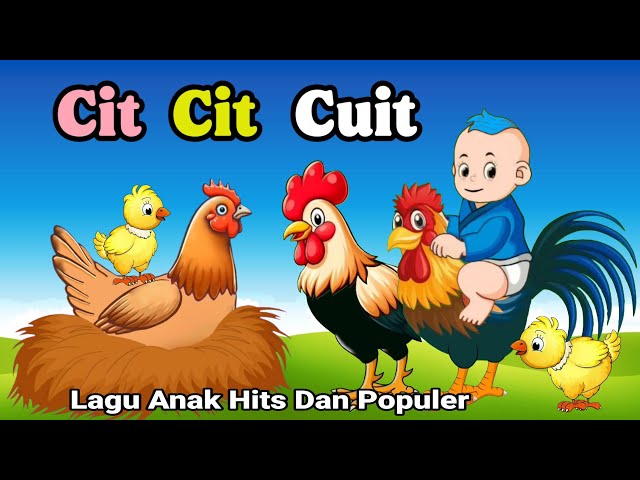 Lagu Anak Anak - Cit Cit Cuit - Aniasi Burung Ayam Bebek Lucu - Lagu Anak Populer class=