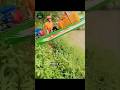 Fastest Delivery on Water! 🚤 Vietnam’s Crazy Boat Couriers You Must See! #trending #viral