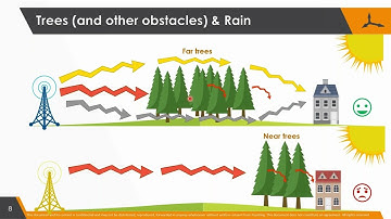 Trees and Radio Propagation