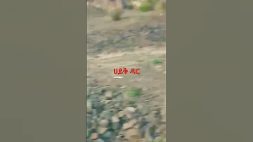 ሀይቅ ዳር 