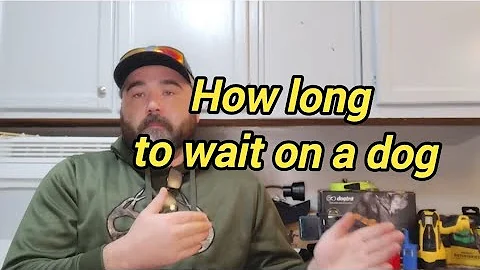 Watch the video about Training a Coon Hound - How long to hold on to a dog