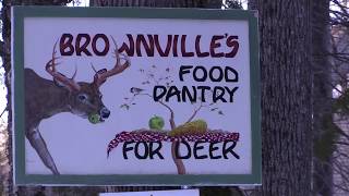 Brownville's Food Pantry for Deer