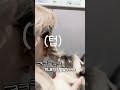 뽀뽀가 싫은 고양이💋😾#shorts #shortsvideo #funnycat #catthings #stupide