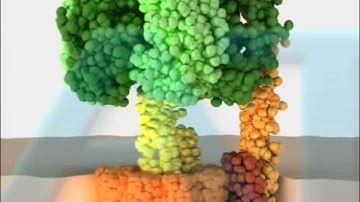 The ATP Synthase Enzyme