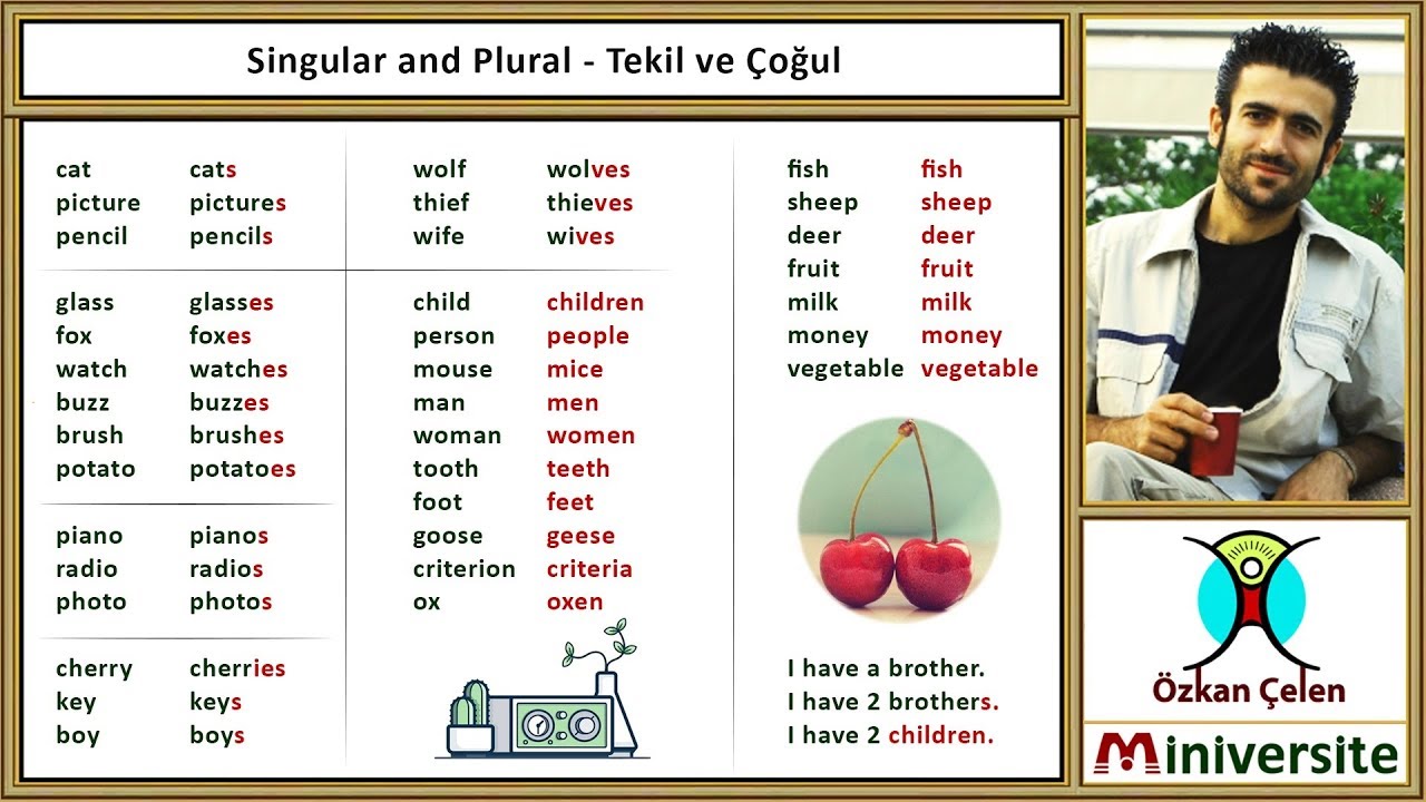 Man plural. Singular plural. potato plural.