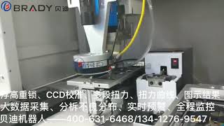 Automatic screw locking robot with CCD can re-lock screws automatically. Model:SC-170-C