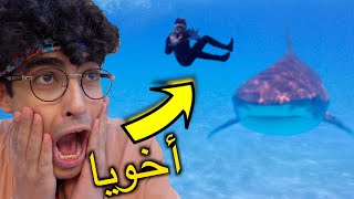 أفريكانو | سبحت مع اخطر قرش في العالم 🦈