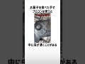 ホントにあるグッズ?part99【琴葉茜/琴葉葵】#shorts
