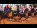 Carreras de Caballos en el Hipodromo de Rayon 06 de Octubre 2019