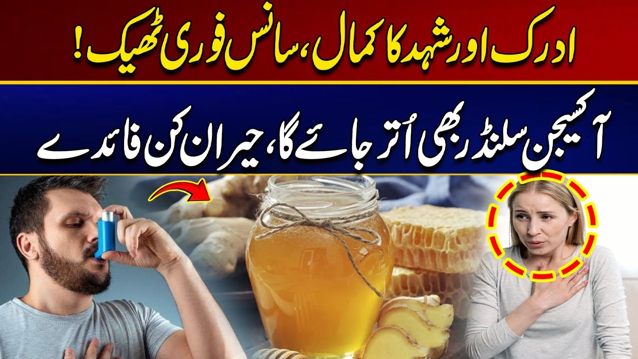 Ginger & Honey Benefits | Natural Support for Easy Breathing | Must Watch | City 41