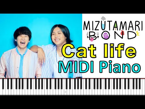 🎹 水溜りボンド OP ED ピアノ MIDI Cat life